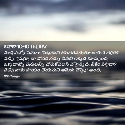 Picture 02 - లూకా 10:40 TELIRV - మార్త ఎన్నో పనులు - Bible Verse Picture