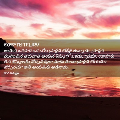Picture 02 - లూకా 11:1 TELIRV - ఆయన ఒకసారి ఒక చోట - Bible Verse Picture