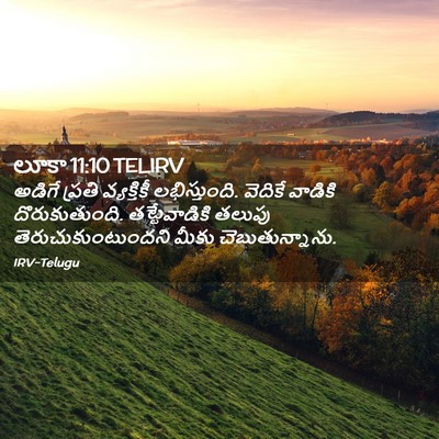 Picture 02 - లూకా 11:10 TELIRV - అడిగే ప్రతి - Bible Verse Picture