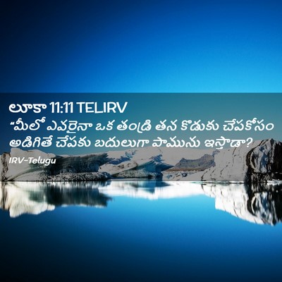 Picture 02 - లూకా 11:11 TELIRV - “మీలో ఎవరైనా ఒక - Bible Verse Picture