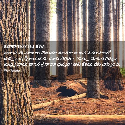 Picture 02 - లూకా 11:27 TELIRV - ఆయన ఈ మాటలు చెబుతూ - Bible Verse Picture