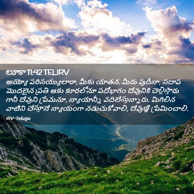 Picture 02 - లూకా 11:42 TELIRV - అయ్యో - Bible Verse Picture