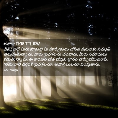 Picture 02 - లూకా 11:48 TELIRV - దీన్నిబట్టి మీరు - Bible Verse Picture