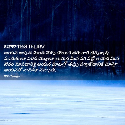 Picture 02 - లూకా 11:53 TELIRV - ఆయన అక్కడ నుండి - Bible Verse Picture