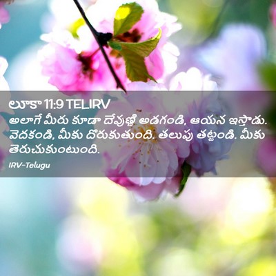 Picture 02 - లూకా 11:9 TELIRV - అలాగే మీరు కూడా - Bible Verse Picture