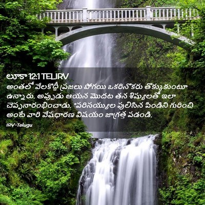 Picture 02 - లూకా 12:1 TELIRV - అంతలో వేలకొద్దీ - Bible Verse Picture