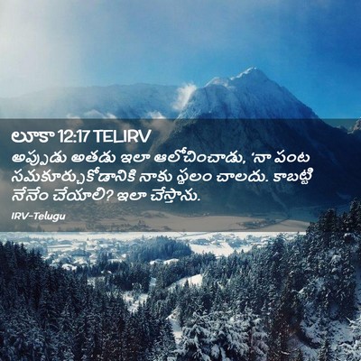 Picture 02 - లూకా 12:17 TELIRV - అప్పుడు అతడు ఇలా - Bible Verse Picture