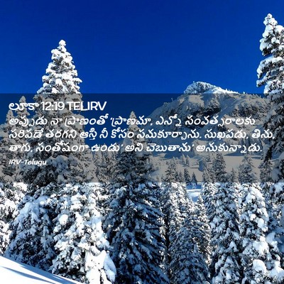 Picture 02 - లూకా 12:19 TELIRV - అప్పుడు నా - Bible Verse Picture