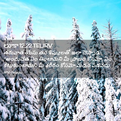 Picture 02 - లూకా 12:22 TELIRV - తరువాత యేసు తన - Bible Verse Picture