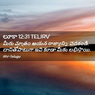 Picture 02 - లూకా 12:31 TELIRV - మీరు మాత్రం ఆయన - Bible Verse Picture