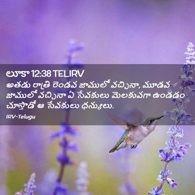 Picture 02 - లూకా 12:38 TELIRV - అతడు రాత్రి రెండవ - Bible Verse Picture