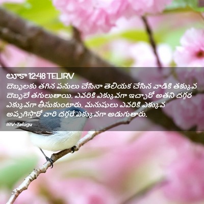 Picture 02 - లూకా 12:48 TELIRV - దెబ్బలకు తగిన - Bible Verse Picture
