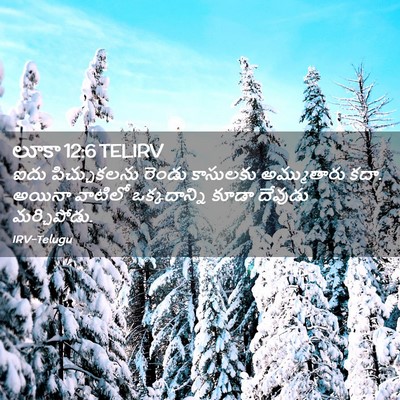 Picture 02 - లూకా 12:6 TELIRV - ఐదు పిచ్చుకలను - Bible Verse Picture