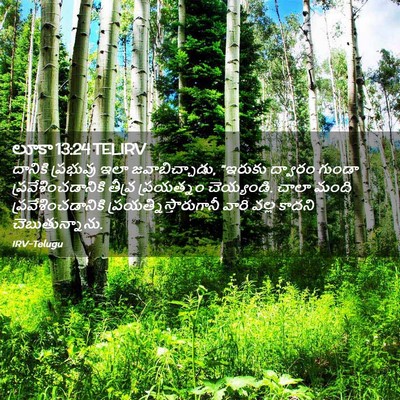 Picture 02 - లూకా 13:24 TELIRV - దానికి ప్రభువు - Bible Verse Picture