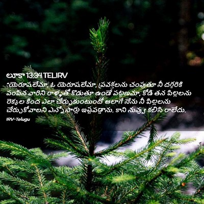 Picture 02 - లూకా 13:34 TELIRV - “యెరూషలేమా, ఓ - Bible Verse Picture