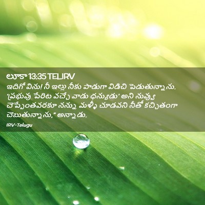 Picture 02 - లూకా 13:35 TELIRV - ఇదిగో విను! నీ - Bible Verse Picture