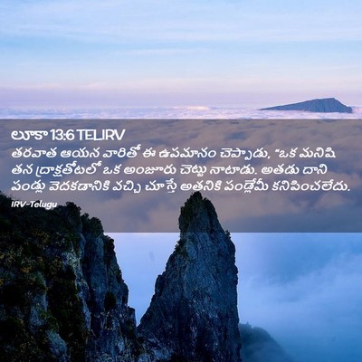 Picture 02 - లూకా 13:6 TELIRV - తరవాత ఆయన వారితో ఈ - Bible Verse Picture