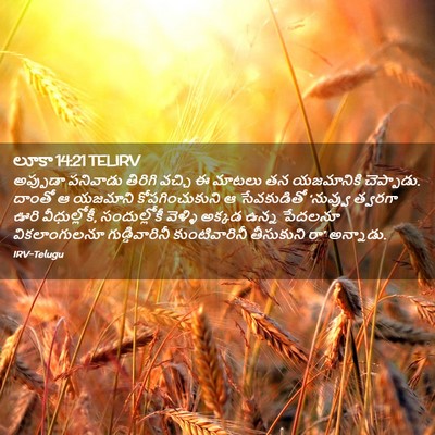 Picture 02 - లూకా 14:21 TELIRV - అప్పుడా పనివాడు - Bible Verse Picture