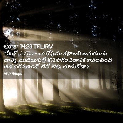 Picture 02 - లూకా 14:28 TELIRV - “మీలో ఎవరైనా ఒక - Bible Verse Picture