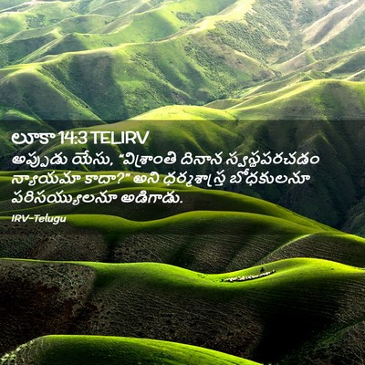 Picture 02 - లూకా 14:3 TELIRV - అప్పుడు యేసు, - Bible Verse Picture