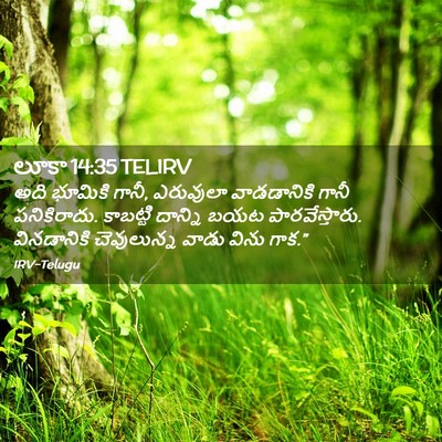 Picture 02 - లూకా 14:35 TELIRV - అది భూమికి గానీ, - Bible Verse Picture
