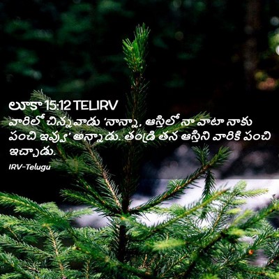 Picture 02 - లూకా 15:12 TELIRV - వారిలో చిన్నవాడు - Bible Verse Picture
