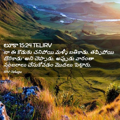 Picture 02 - లూకా 15:24 TELIRV - నా ఈ కొడుకు - Bible Verse Picture
