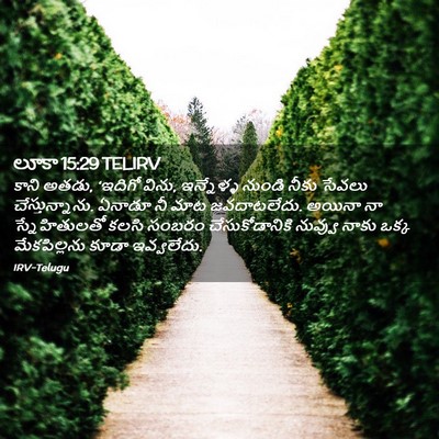 Picture 02 - లూకా 15:29 TELIRV - కాని అతడు, ‘ఇదిగో - Bible Verse Picture