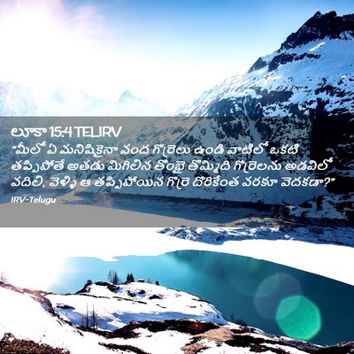 Picture 02 - లూకా 15:4 TELIRV - “మీలో ఏ మనిషికైనా - Bible Verse Picture
