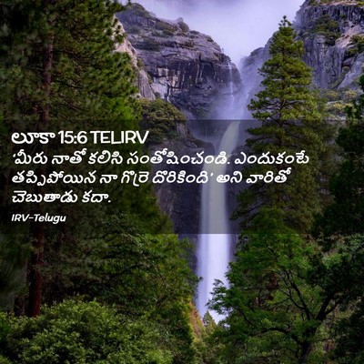 Picture 02 - లూకా 15:6 TELIRV - ‘మీరు నాతో కలిసి - Bible Verse Picture