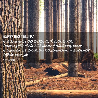 Picture 02 - లూకా 16:2 TELIRV - అతడు ఆ అధికారిని - Bible Verse Picture