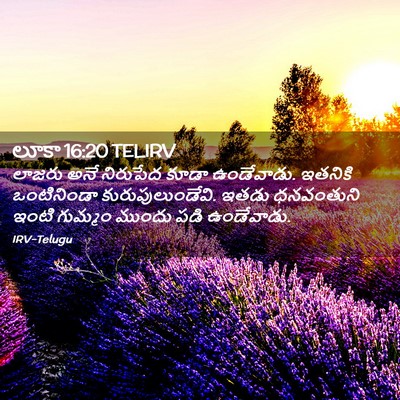 Picture 02 - లూకా 16:20 TELIRV - లాజరు అనే నిరుపేద - Bible Verse Picture