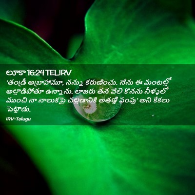 Picture 02 - లూకా 16:24 TELIRV - ‘తండ్రీ - Bible Verse Picture