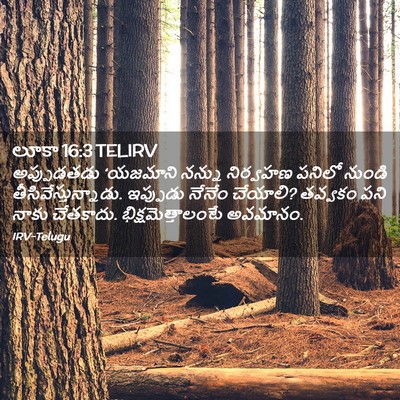 Picture 02 - లూకా 16:3 TELIRV - అప్పుడతడు ‘యజమాని - Bible Verse Picture