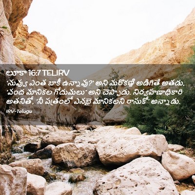 Picture 02 - లూకా 16:7 TELIRV - ‘నువ్వు ఎంత బాకీ - Bible Verse Picture