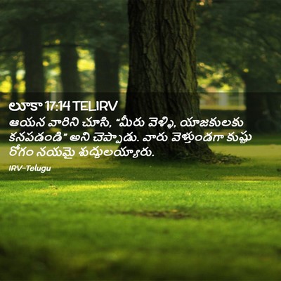 Picture 02 - లూకా 17:14 TELIRV - ఆయన వారిని చూసి, - Bible Verse Picture
