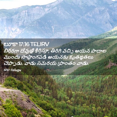 Picture 02 - లూకా 17:16 TELIRV - బిగ్గరగా దేవుణ్ణి - Bible Verse Picture