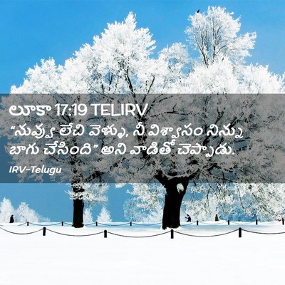 Picture 02 - లూకా 17:19 TELIRV - “నువ్వు లేచి - Bible Verse Picture