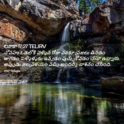 Picture 02 - లూకా 17:27 TELIRV - నోవహు ఓడలోకి - Bible Verse Picture