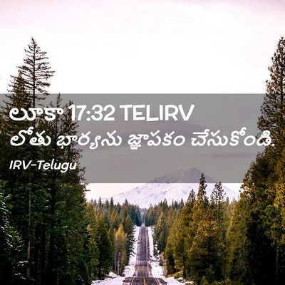 Picture 02 - లూకా 17:32 TELIRV - లోతు భార్యను - Bible Verse Picture