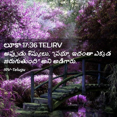 Picture 02 - లూకా 17:36 TELIRV - అప్పుడు శిష్యులు, - Bible Verse Picture