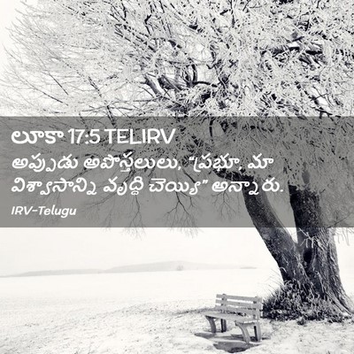 Picture 02 - లూకా 17:5 TELIRV - అప్పుడు - Bible Verse Picture
