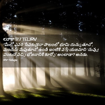 Picture 02 - లూకా 17:7 TELIRV - “మీలో ఎవరి - Bible Verse Picture