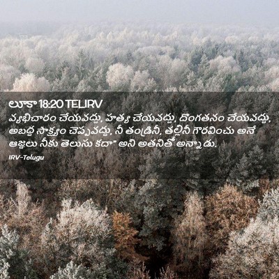 Picture 02 - లూకా 18:20 TELIRV - వ్యభిచారం - Bible Verse Picture