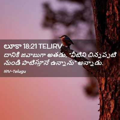 Picture 02 - లూకా 18:21 TELIRV - దానికి జవాబుగా - Bible Verse Picture
