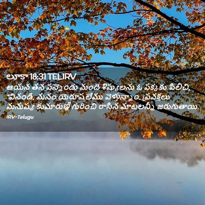 Picture 02 - లూకా 18:31 TELIRV - ఆయన తన పన్నెండు - Bible Verse Picture
