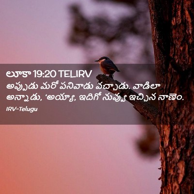 Picture 02 - లూకా 19:20 TELIRV - అప్పుడు మరో - Bible Verse Picture
