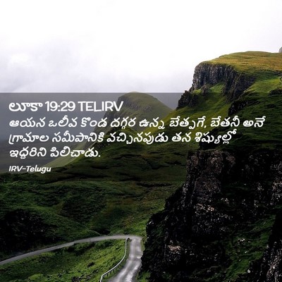 Picture 02 - లూకా 19:29 TELIRV - ఆయన ఒలీవ కొండ - Bible Verse Picture