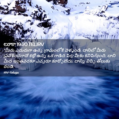 Picture 02 - లూకా 19:30 TELIRV - “మీరు ఎదురుగా - Bible Verse Picture