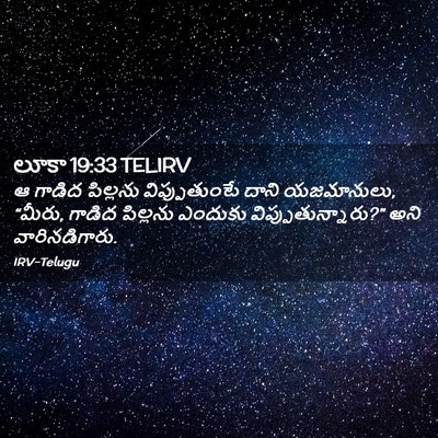 Picture 02 - లూకా 19:33 TELIRV - ఆ గాడిద పిల్లను - Bible Verse Picture
